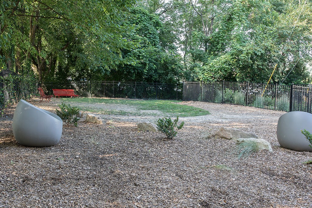 a yard with three vases and a fence and trees