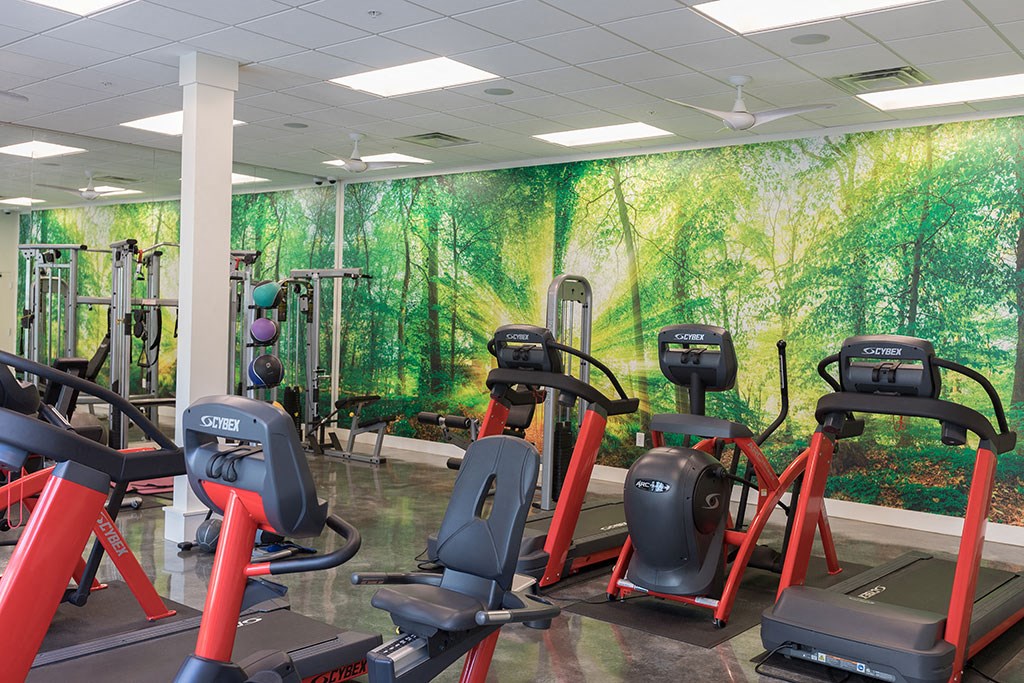 a gym with a wall mural of a forest