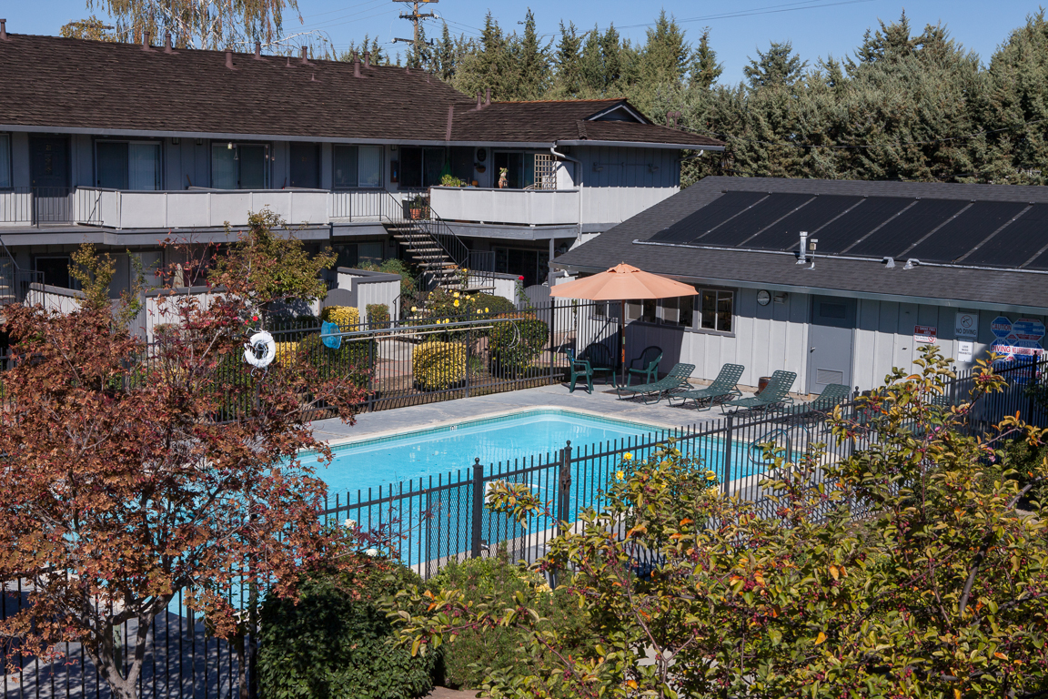 our apartments showcase an unique swimming pool