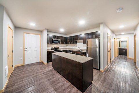 a kitchen with stainless steel appliances and black cabinets