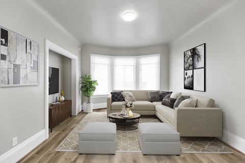 A living room with a couch, coffee table, and a plant.