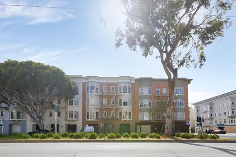 A tree stands in front of a row of apartment buildings.