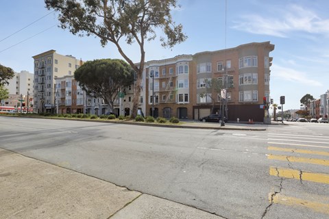 A street view with a crosswalk and a tree in front of a building.