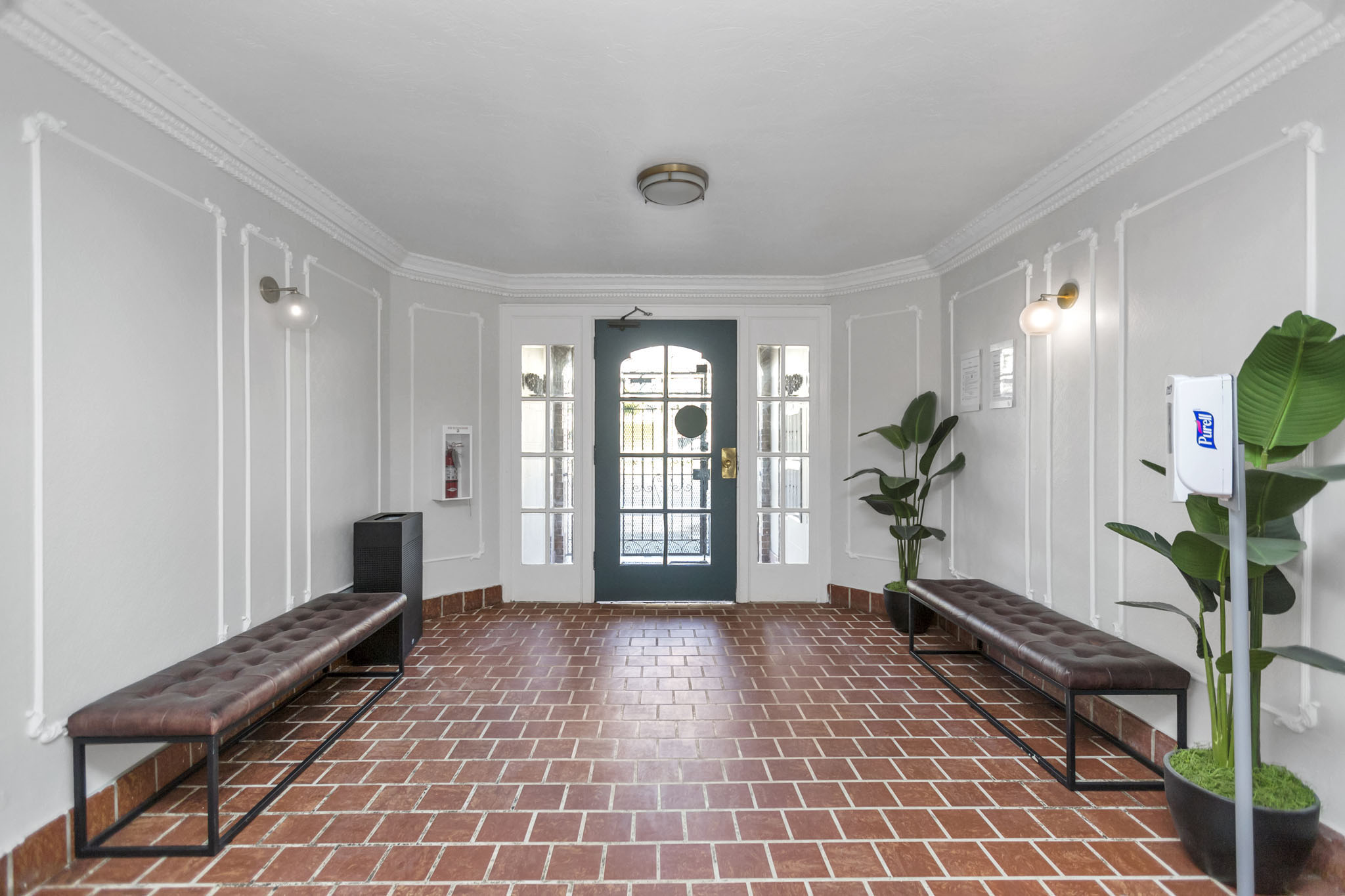 A hallway with a bench and a plant.
