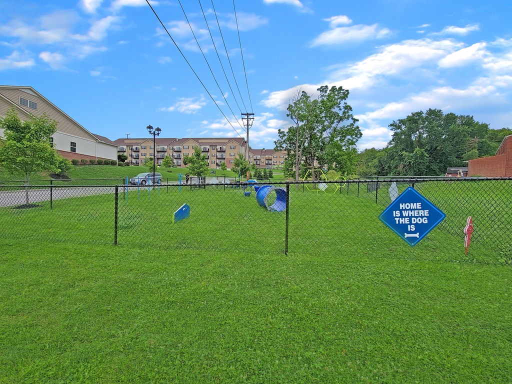a dog park with kites on a chain link fence