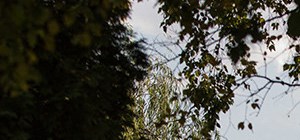 The Eclipse Apartments | Apartments in Indianapolis, IN