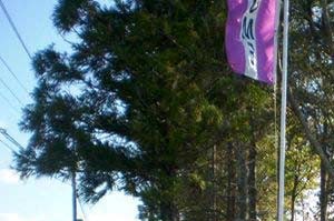 Photos And Video Of Autumn Chase In Mobile Al