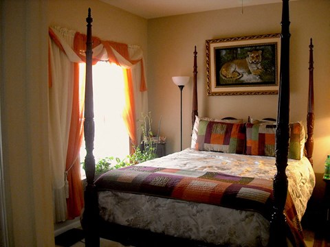 model furnished bedroom with natural light