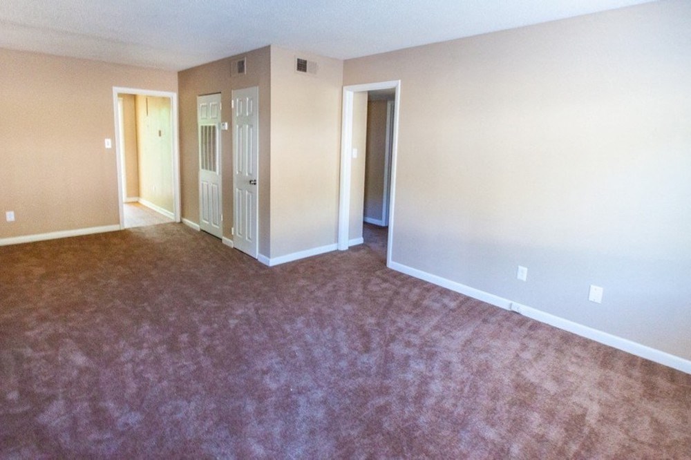 spacious apartment with plush carpet