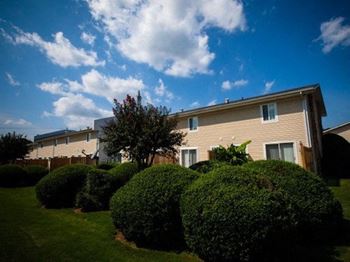 established large bushes in green space at Shadowood