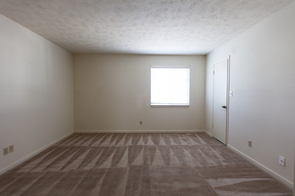 bedroom with plush carpet and window