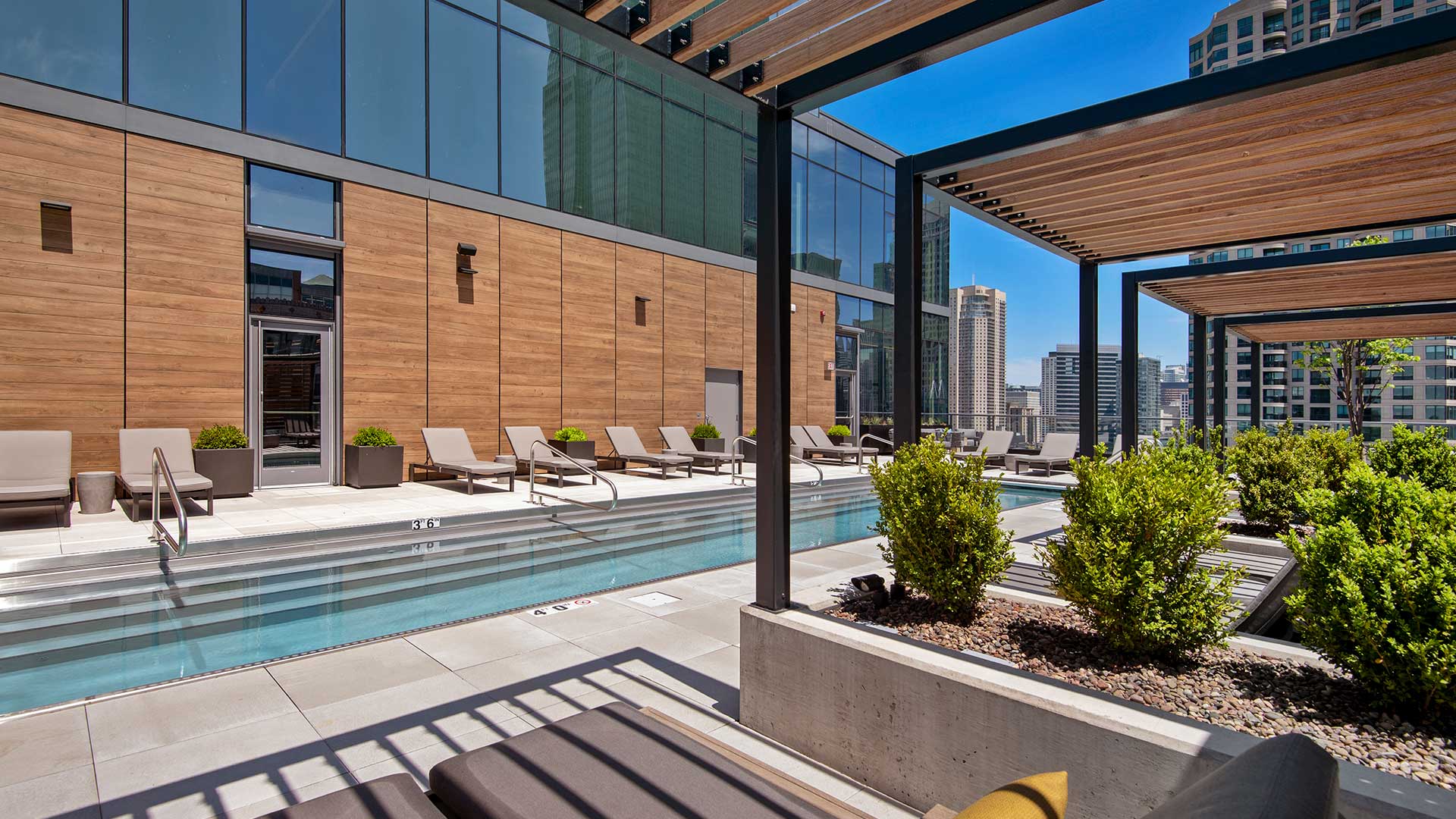 Looking out at the outdoor pool as seen from a lounge chair under a pergola. On the right are built-in potted plants. Across the pool is the Hubbard221 apartment tower.