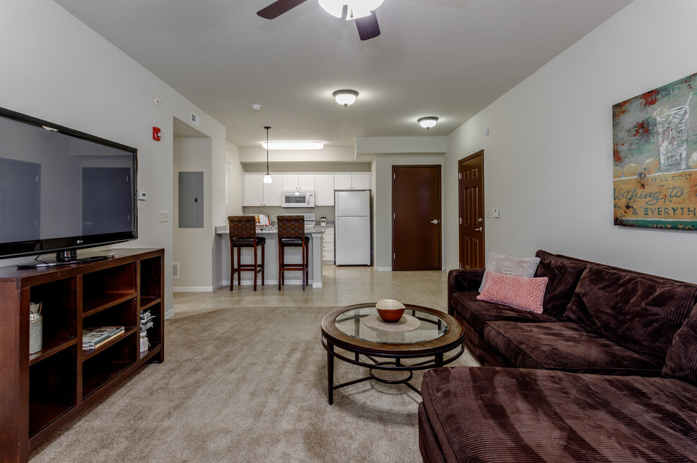 a living room with a couch and a television