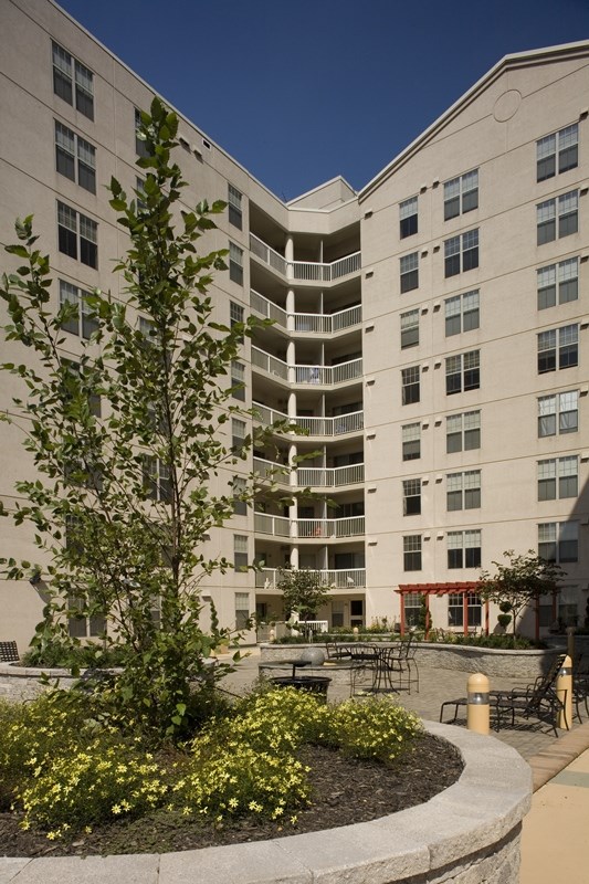 an apartment building with a courtyard and a tree in front of it