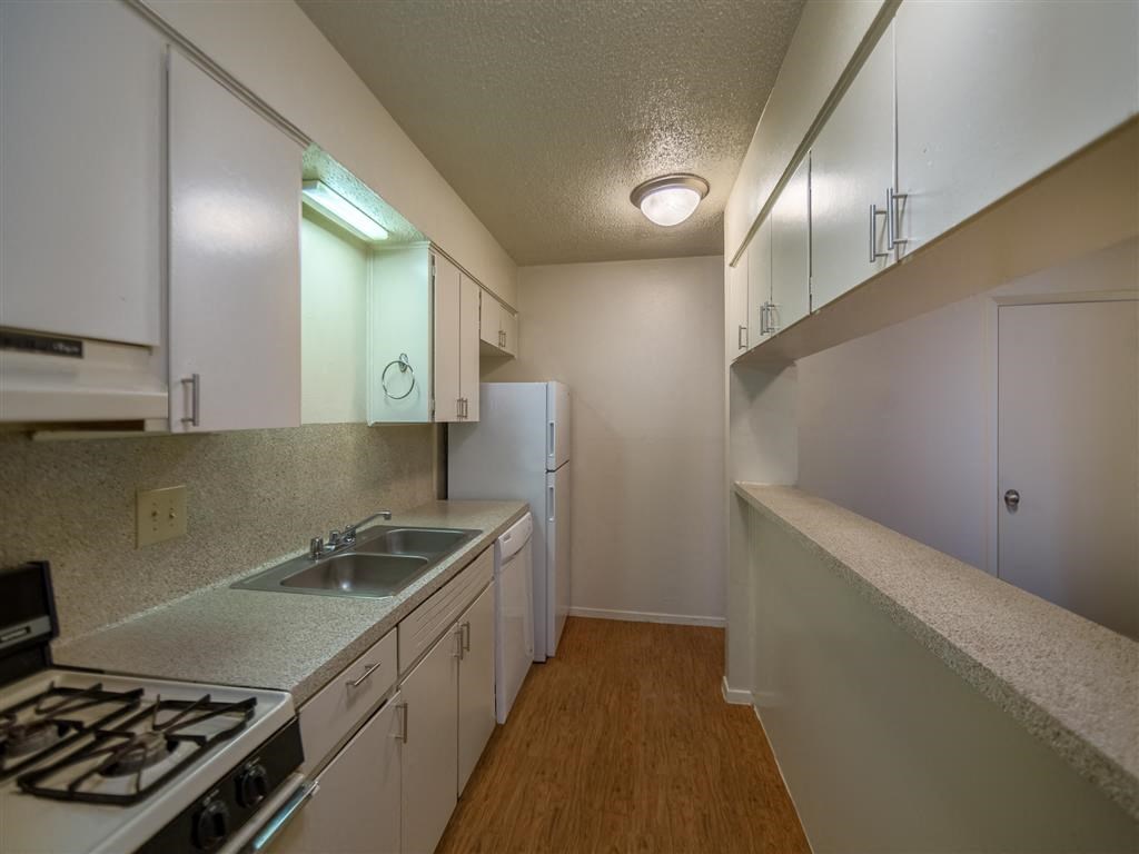 a kitchen with a stove and a sink and a refrigerator