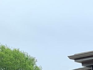 Photos And Video Of Willow Tree Apartments In Houston Tx