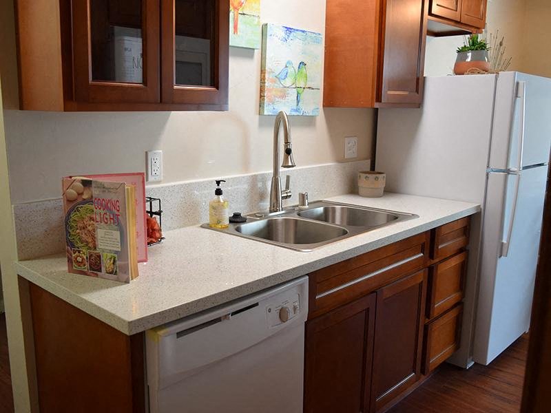 The Canopy Apartments In Sacramento Ca