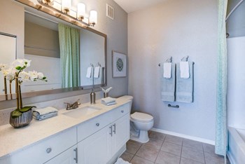 Luxurious Bathroom at Village at Lake  Highland, Lakeland, Florida - Photo Gallery 5