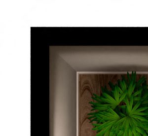 1 Bed 1 Bath a1