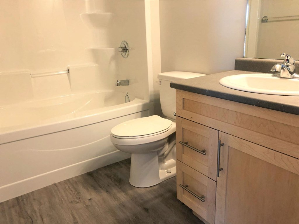 a bathroom with a toilet and a sink and a bath tub