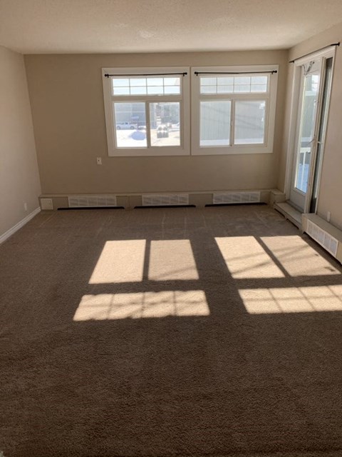 A room with a carpeted floor and a large window letting in sunlight.
