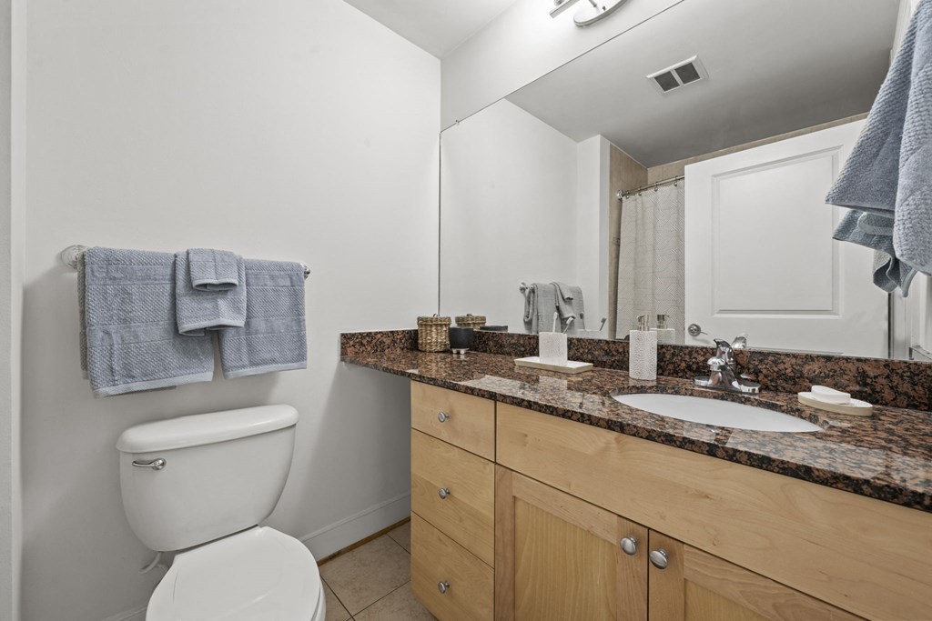 a bathroom with a toilet and a sink and a mirror