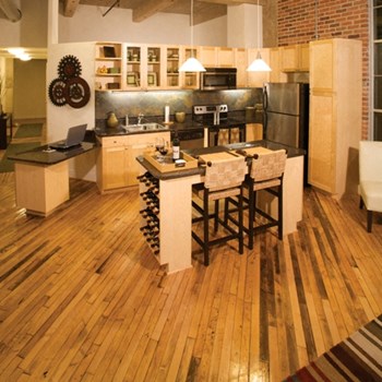 Shockoe Bottom Richmond, VA apartments