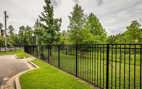 fenced-in dog park