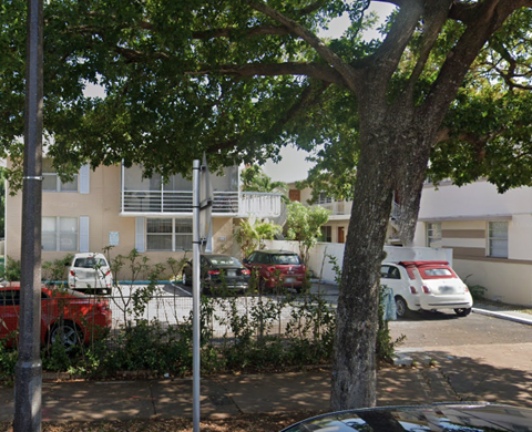 A tree in front of a building with cars parked in the background.