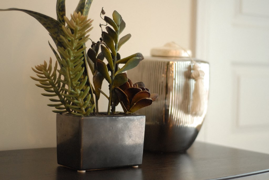 a potted plant and a vase on a table