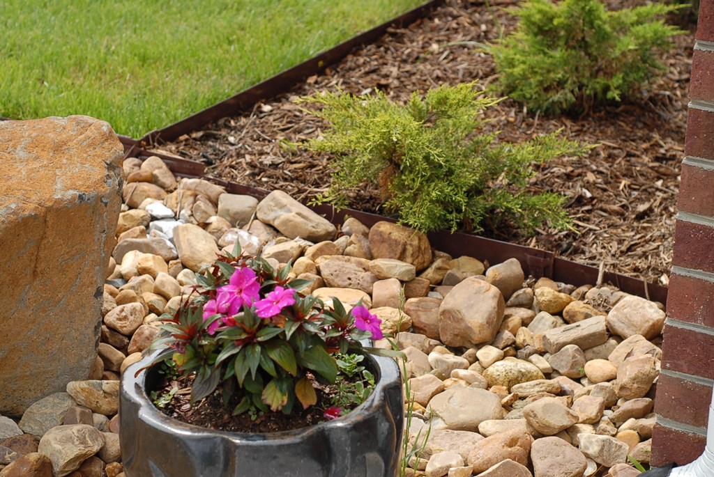 a garden with rocks and flowers in it