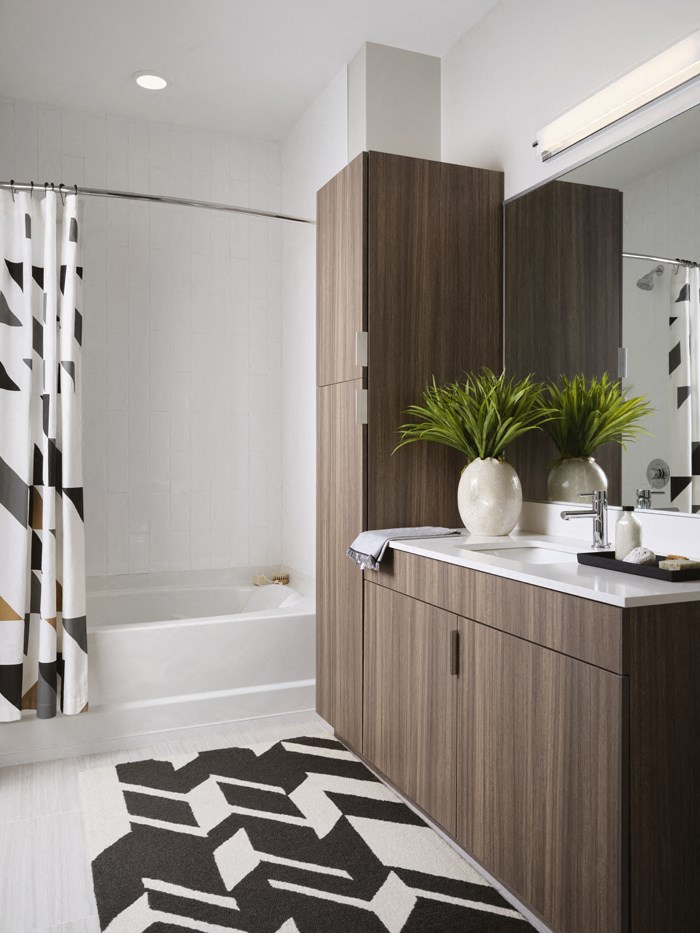 a bathroom with a wooden cabinet and a black and white rug