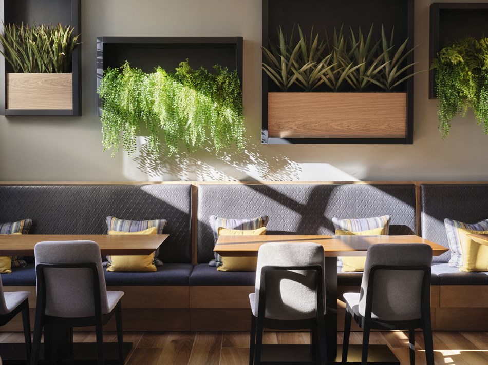 a restaurant with tables and chairs and plants on the wall