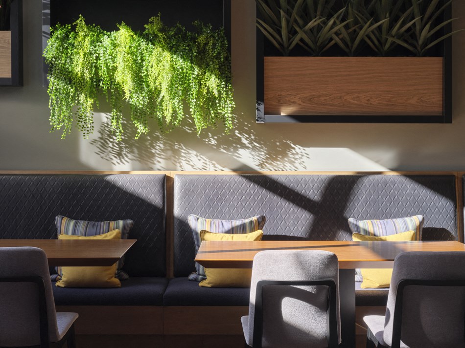a seating area with tables and chairs and a plant hanging on the wall