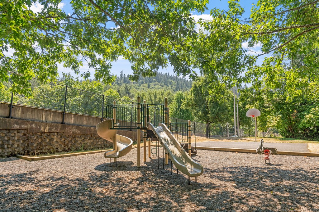 a playground with slides in a park with trees