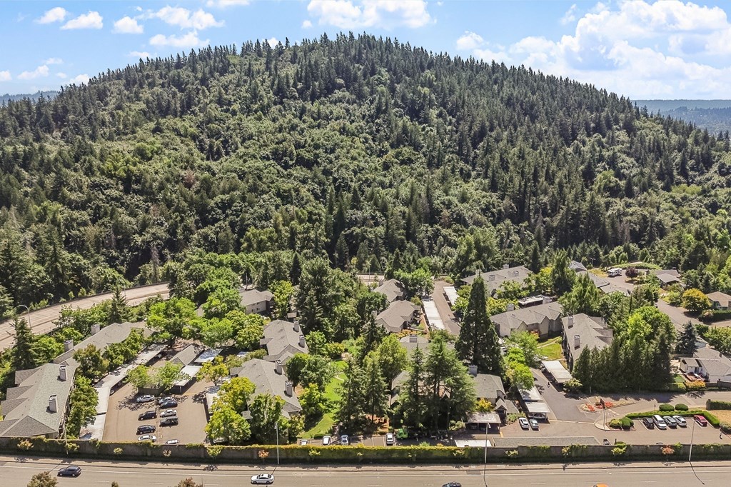 an aerial view of a neighborhood with houses and trees