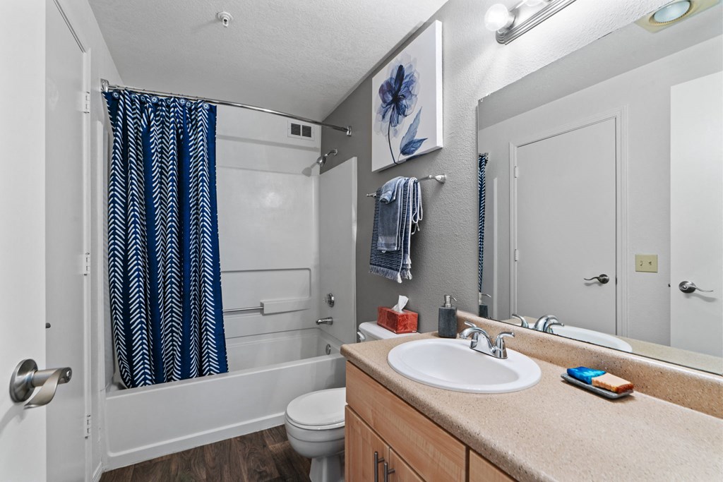 a bathroom with a sink and a shower and a toilet