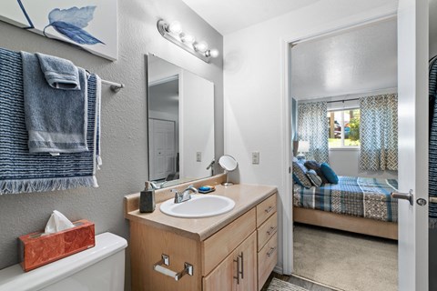 Bathroom Vanity