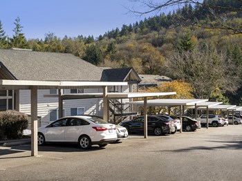 Creekside Apartments - Parking - Photo Gallery 16
