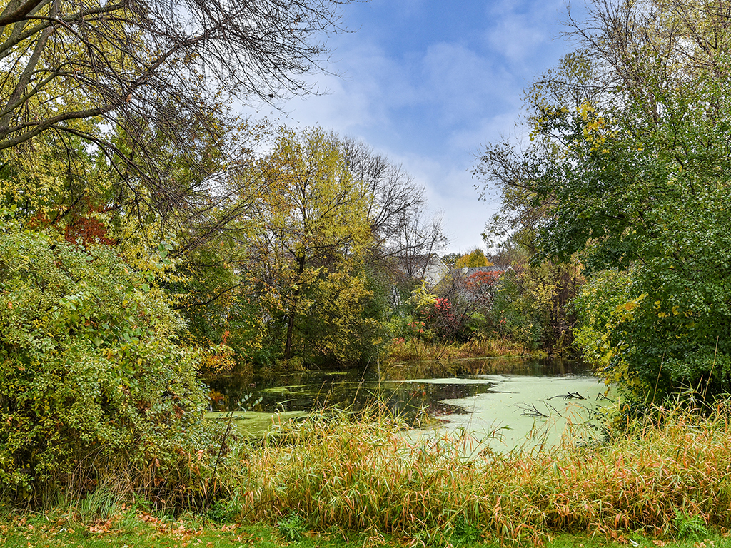 Birch Lake Townhomes - Pond