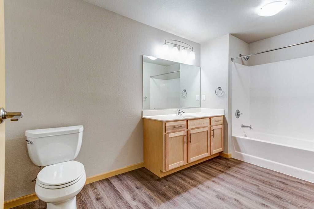 a bathroom with a toilet and a sink and a mirror