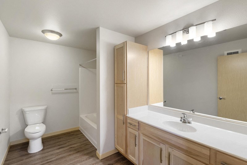 a bathroom with a toilet and a sink and a mirror