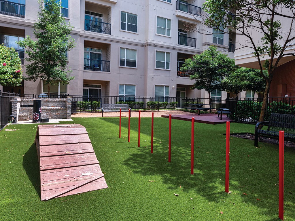 dog agility course at Ascent at City Centre