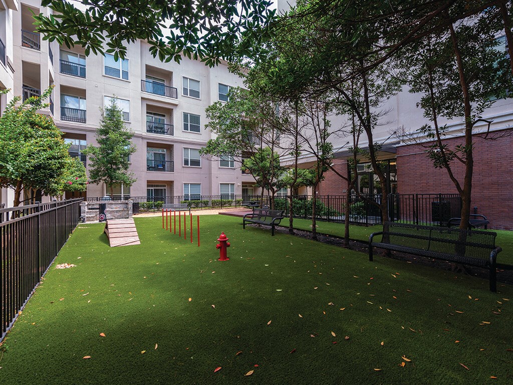 dog park at Ascent at City Centre