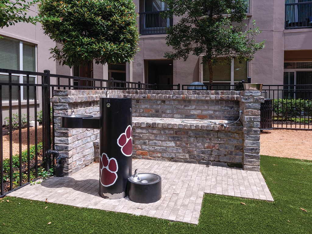 pet space at Ascent at City Centre