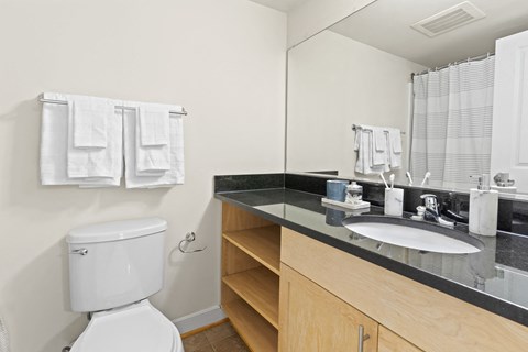 a bathroom with a sink and a toilet and a mirror