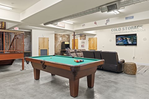 a games room with a pool table and a tv