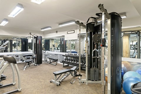 a gym with weights and cardio equipment in a building