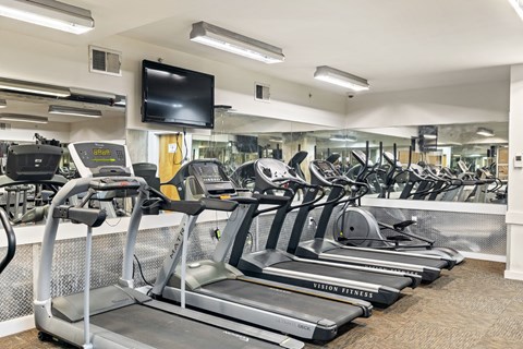 a row of treadmills and a television in a gym