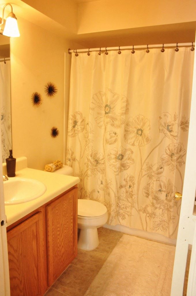 1182 Quail Run Drive 1-3 Beds Apartment for Rent - Photo Gallery
